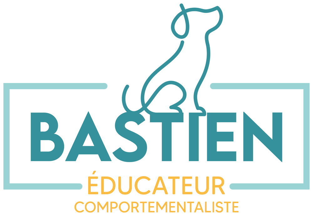 Bastien, éducateur comportementaliste canin