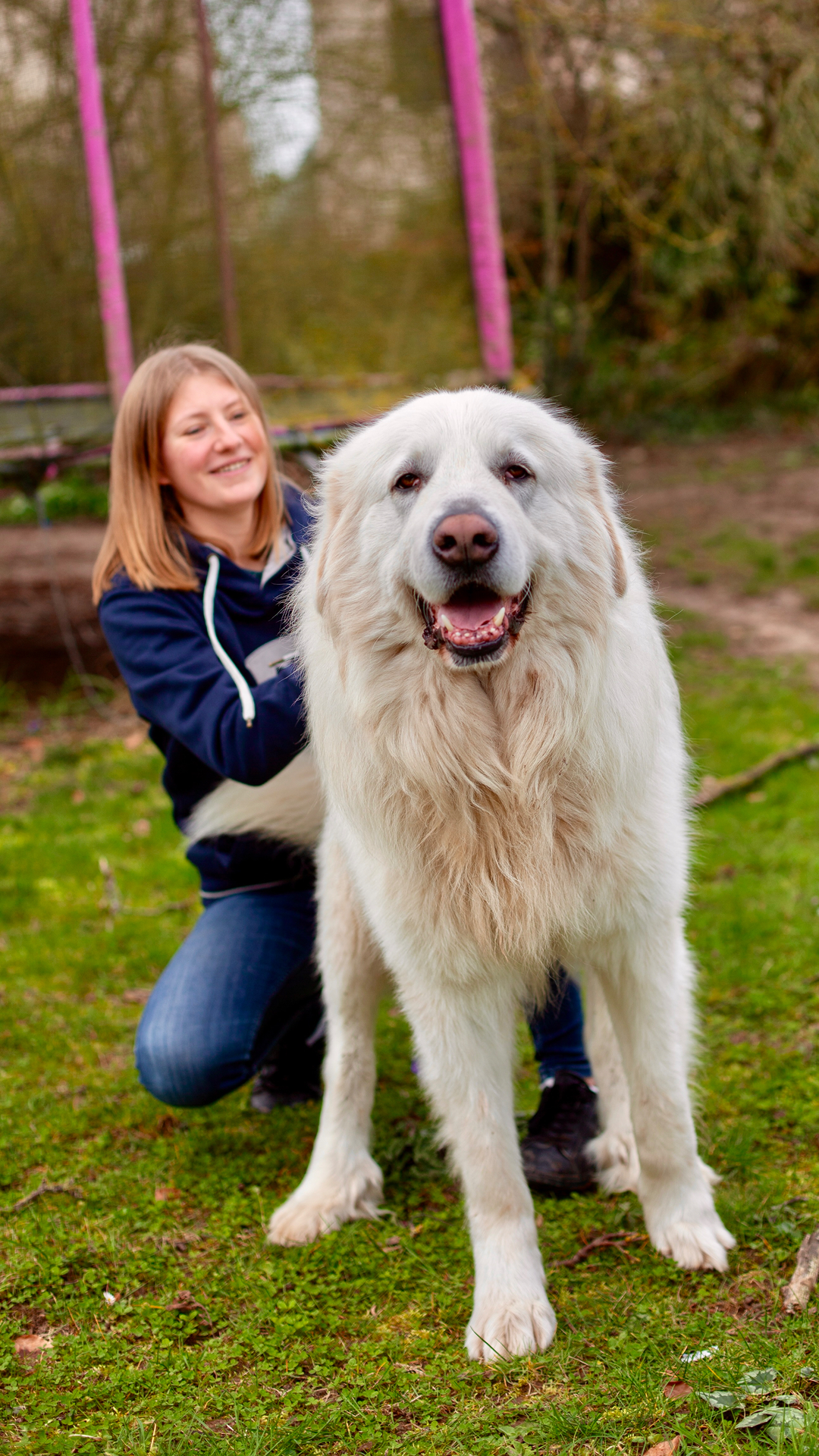 Douce avec un chien de montagne des Pyrénées